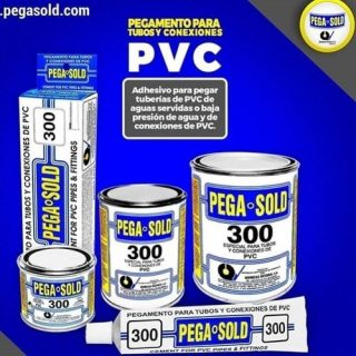 Pega Sold 300